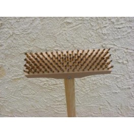 Brosse de démoussage